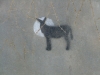 Donkey and Moon